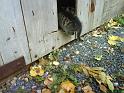 DSC01328